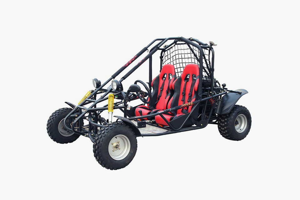 150cc 2 Seat Go Kart Dude Shopping