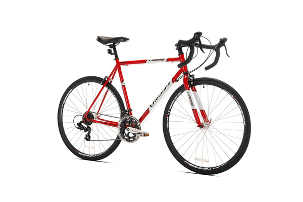 giordano libero road bike